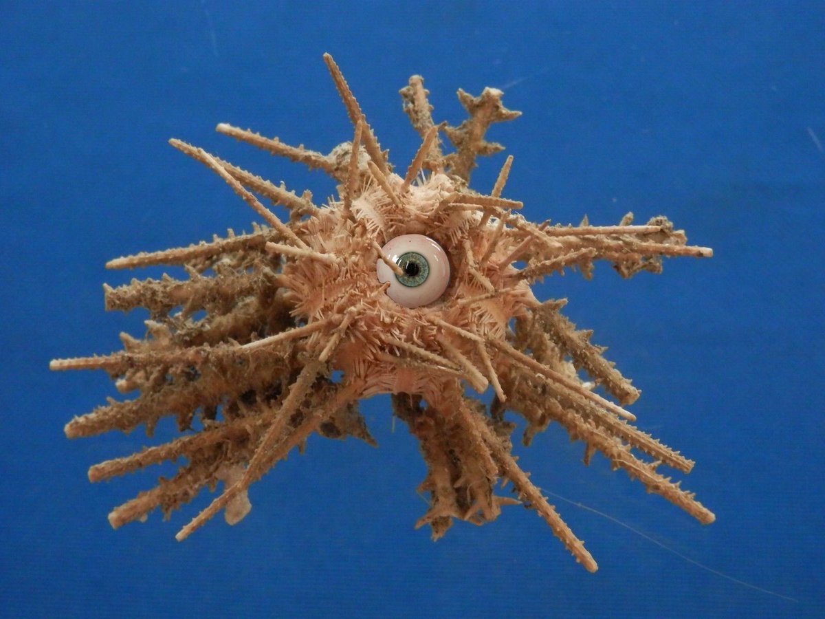 Urchin | Lewis Teague Wright
Opening June 29, 6:30PM