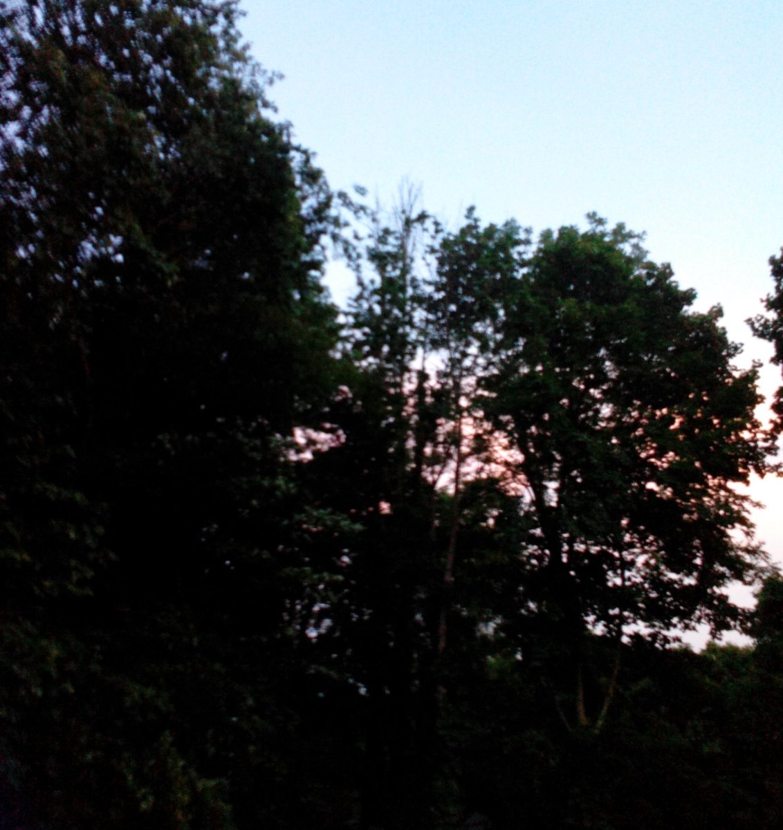 hayesgrierfan96's tweet photo. Pink sunset :) @HayesGrier https://t.co/IQnxrbTuPS
