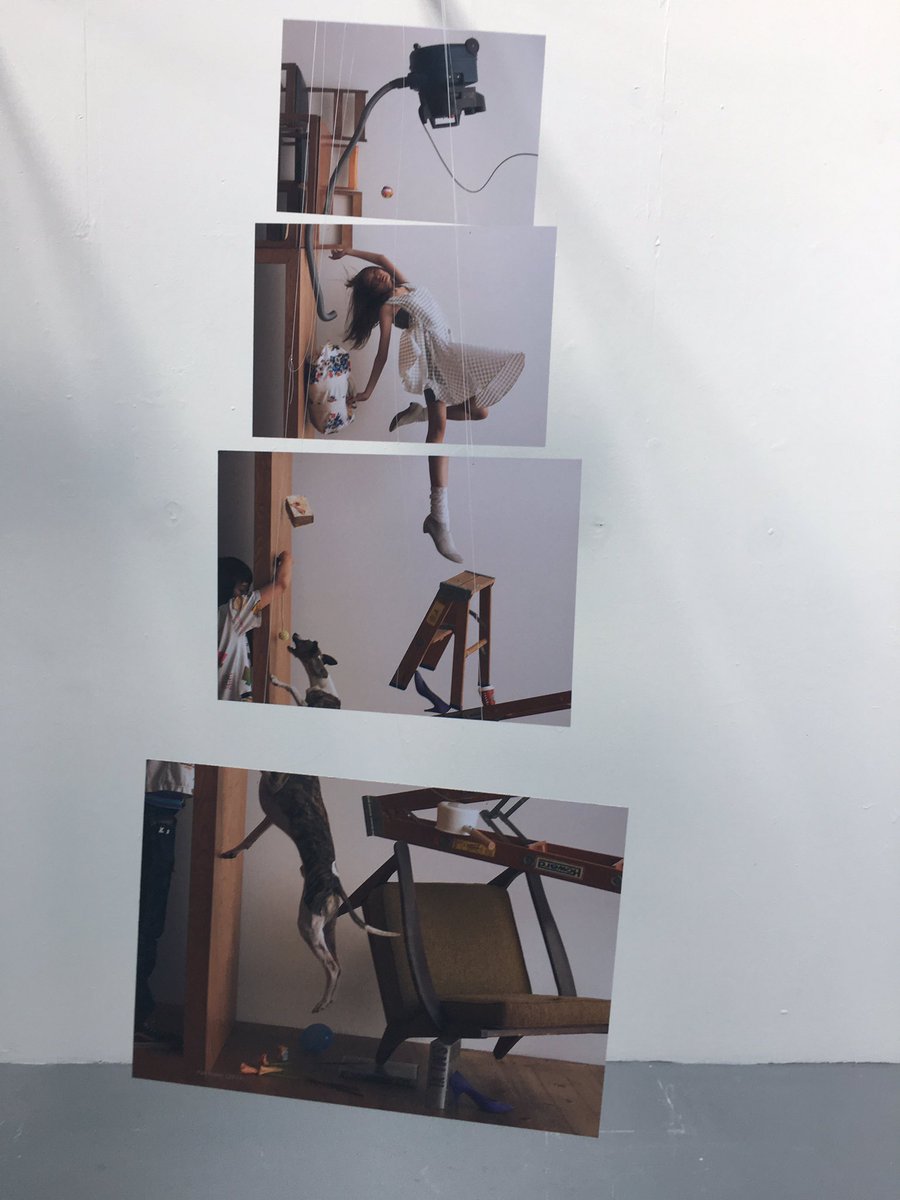 katemclean's tweet photo. Congratulations @MAD_CCCU #graphicdesign #graduatingstudents #DanTranham #BeckyGlendining #EmilyClaydon #SamLaw on a great show https://t.co/DemswyGovO