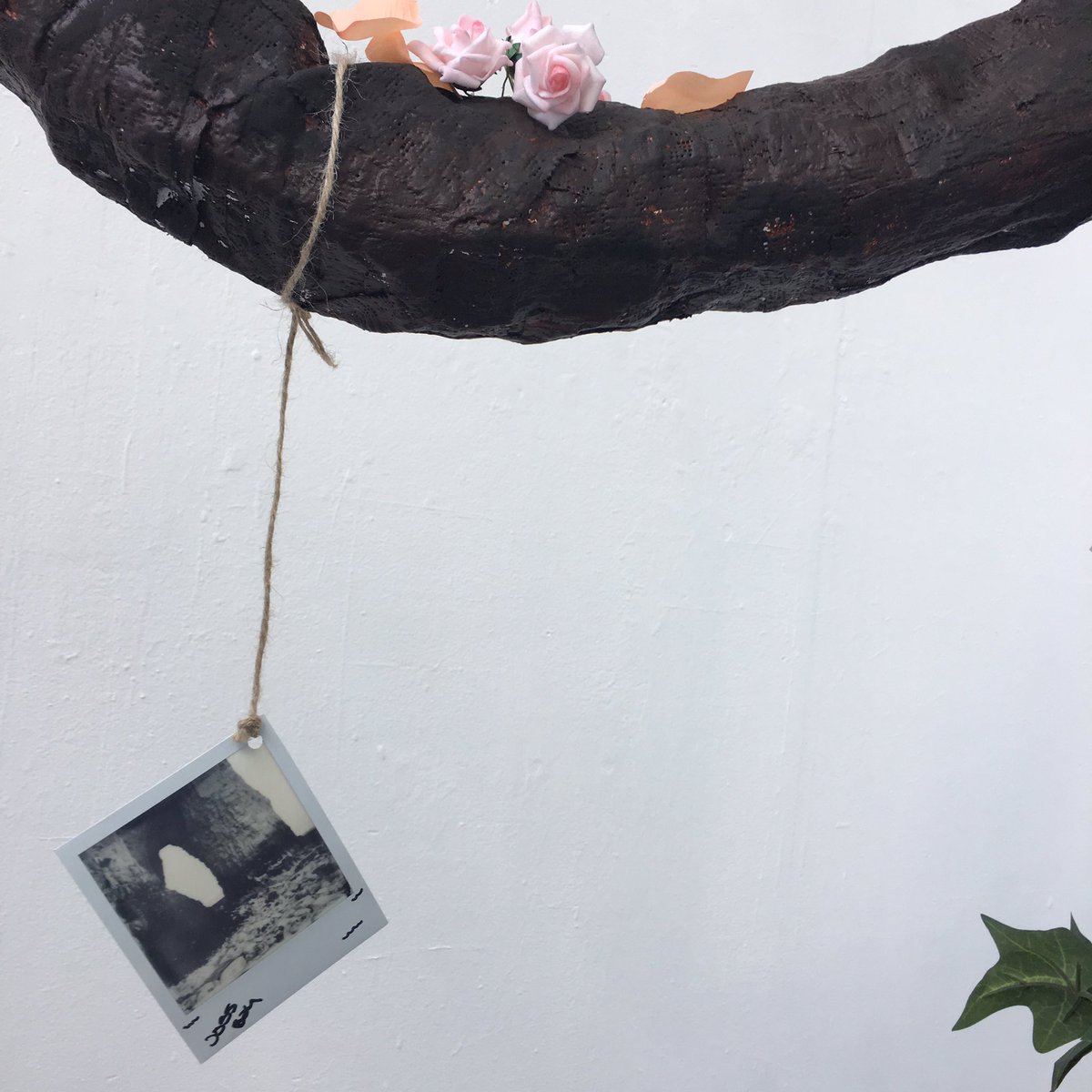 katemclean's tweet photo. Congratulations @MAD_CCCU #graphicdesign #graduatingstudents #DanTranham #BeckyGlendining #EmilyClaydon #SamLaw on a great show https://t.co/DemswyGovO