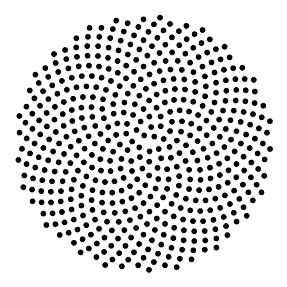 agrocreciendo's tweet image. #Girasol Las semillas forman un patrón matemático (Fibonacci) 1, 2, 3, 5, 8, 13, 21, 34. Cada n° es la suma de los dos anteriores (34=21+13)