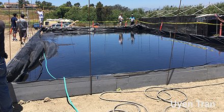 SDmakersguild's tweet photo. Construction of the Battle Pond is underway, bringing full combat naval battles to Vista at #NCMMF this weekend! #sdmakersguild https://t.co/vMgRjZYc8N