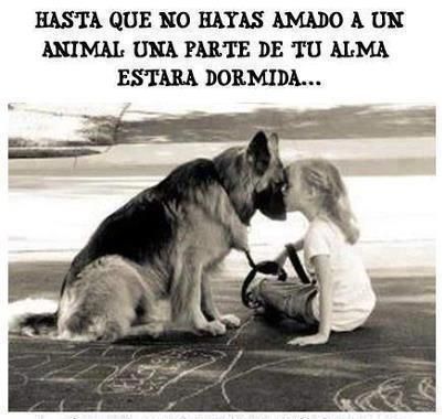 Ecogranjero's tweet photo. Hasta que no hayas amado a un animal una parte de tu alma estará dormida https://t.co/7hP2mAB9o2