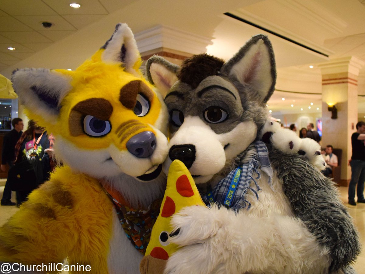 ChurchillCanine's tweet photo. Is Lando sharing his pizza? #CFz2016 #FursuitFriday https://t.co/0CTscu6QVq