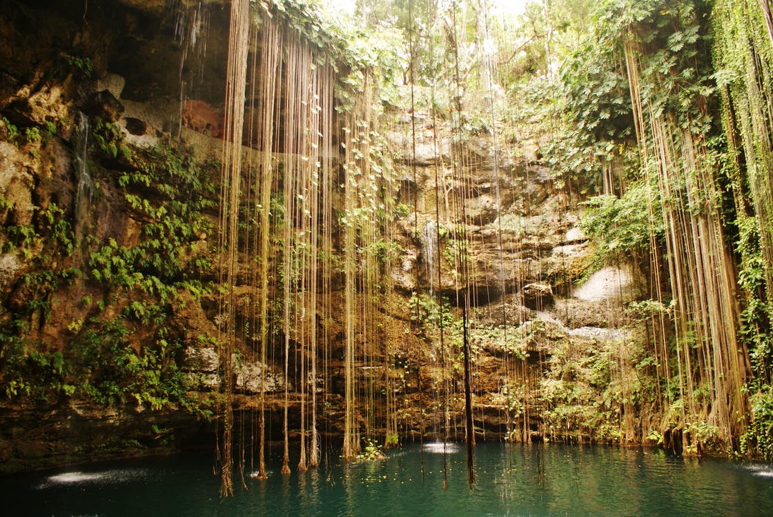 nationsgame's tweet photo. Amarino, is chalked full of biodiversity, one doesn't have to struggle to find it, nor the beauty. https://t.co/sJDPtycfEy