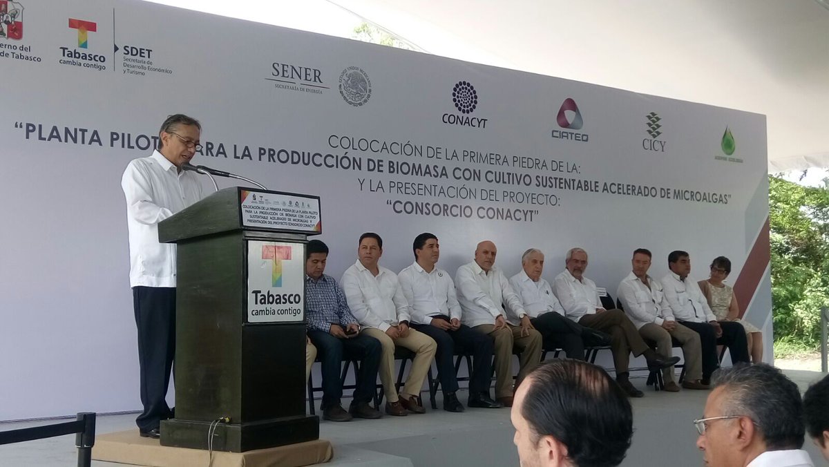 CiateqMX's tweet photo. Colocación Primera Piedra de la Planta Piloto para Producción de Biomasa. @CiateqMX @Conacyt_MX @Gobierno_Tab https://t.co/YnNlRDkueg