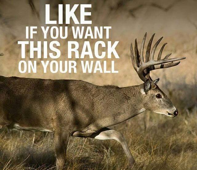 Crossbow Productions tweet media