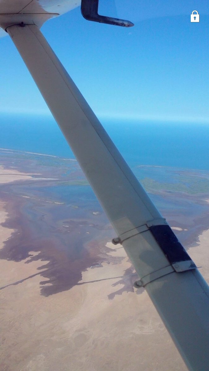 coco8aestrada's tweet photo. No todos los días se tienen vistas así desde 4,500 pies ✈👌 https://t.co/Q3A6lGT33I