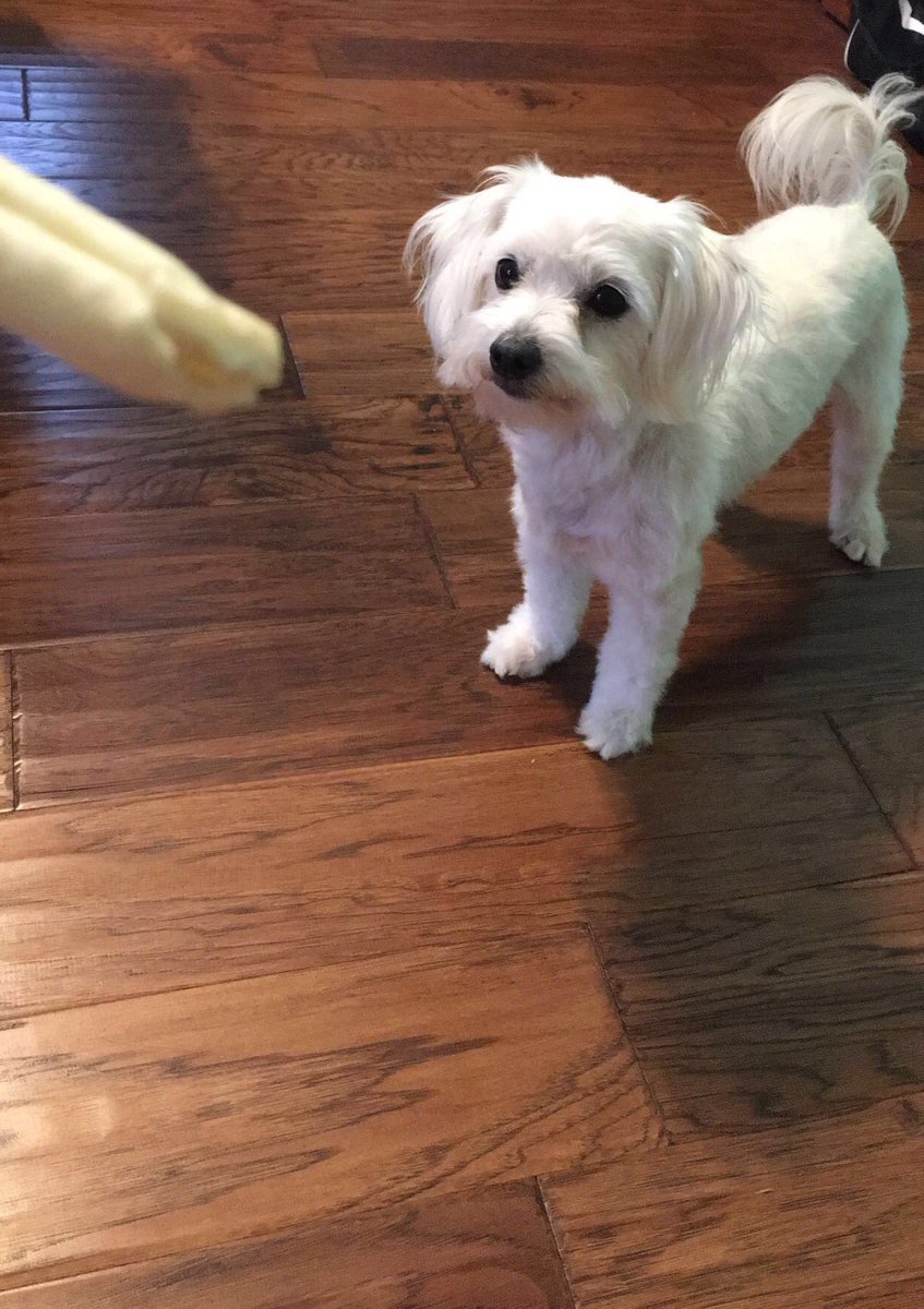 PSA: bones are my favorite