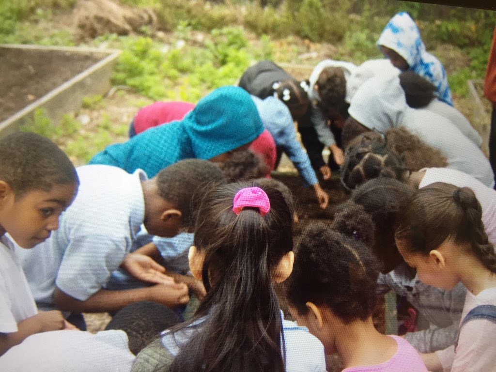 George Bristow tweet media