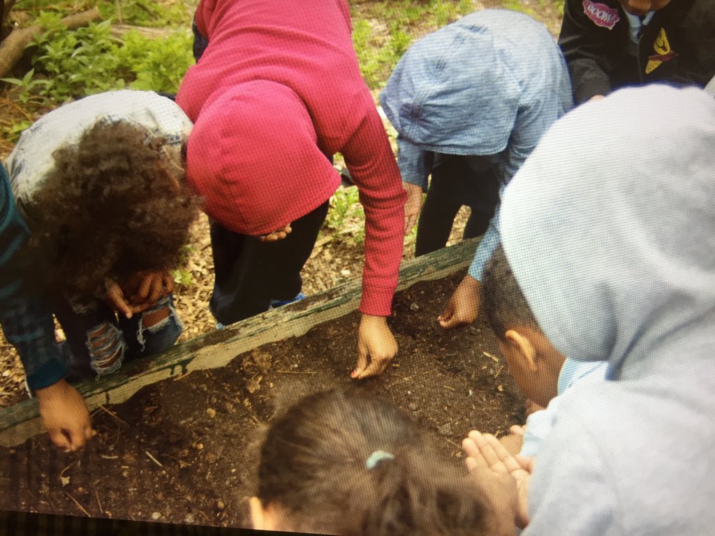 George Bristow tweet media