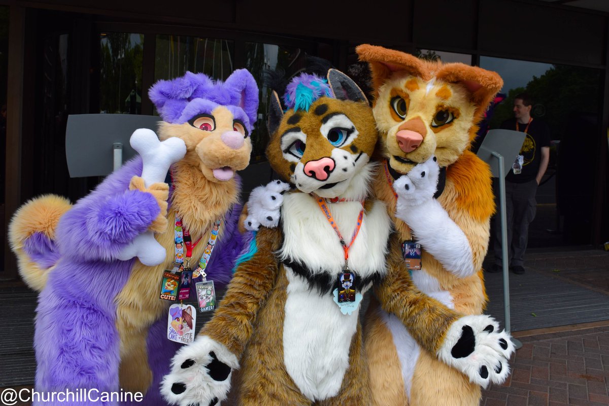 ChurchillCanine's tweet photo. Short suiters are cute. (Don't know the purple one on the left) #CFz2016 #FursuitFriday https://t.co/grH9GEzxG3