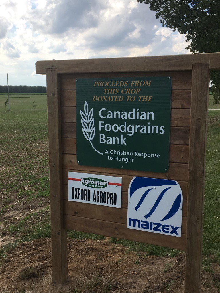 Albert Renkema tweet media