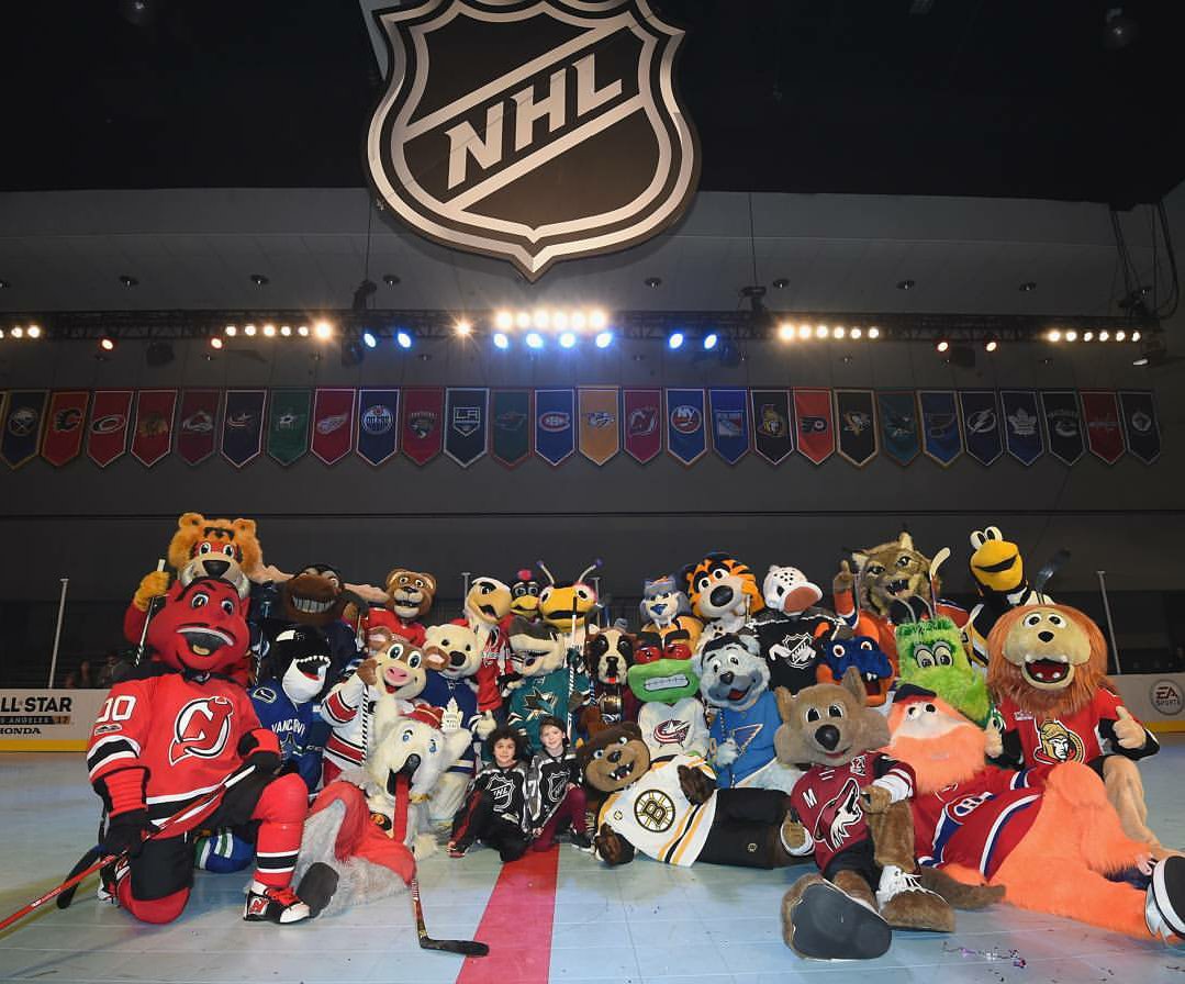 Look what day it is? It's #NationalMascotDay! 🔥 Me and all my <a href="/NHL/">NHL</a> buddies! 😉