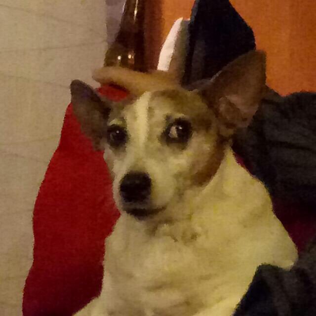 p4ndoras_box's tweet photo. When u spy bae talkin to another girl #maxreacts https://t.co/yQFa5gRawu