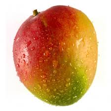ambientemiranda's tweet photo. El mango (Mangifera indica) forma parte de la biodiversidad de #Miranda https://t.co/R86XWYB4Yk