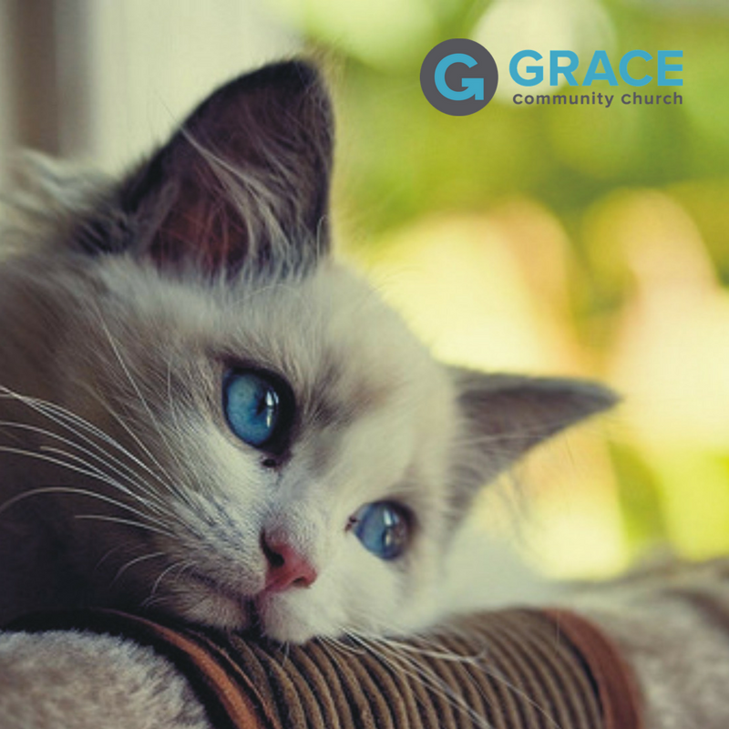 graceinauburn tweet picture