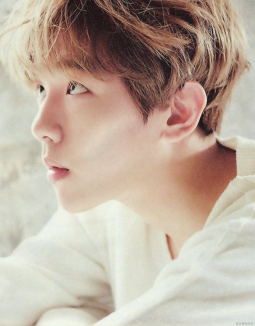 EXOandAesthetic's tweet photo. A cup of tea with lemon ▪ Baekhyun
cr. daenso https://t.co/FmGPx2PDvP