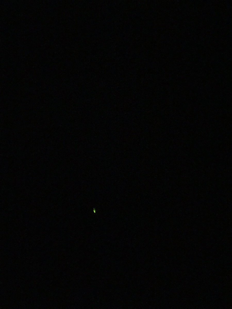 HanneVK's tweet photo. Op zoek naar lichtpuntjes in de Hobokense Polder #nachtwandeling #natuurpunt #glimworm ✨ https://t.co/FZfldraAv2