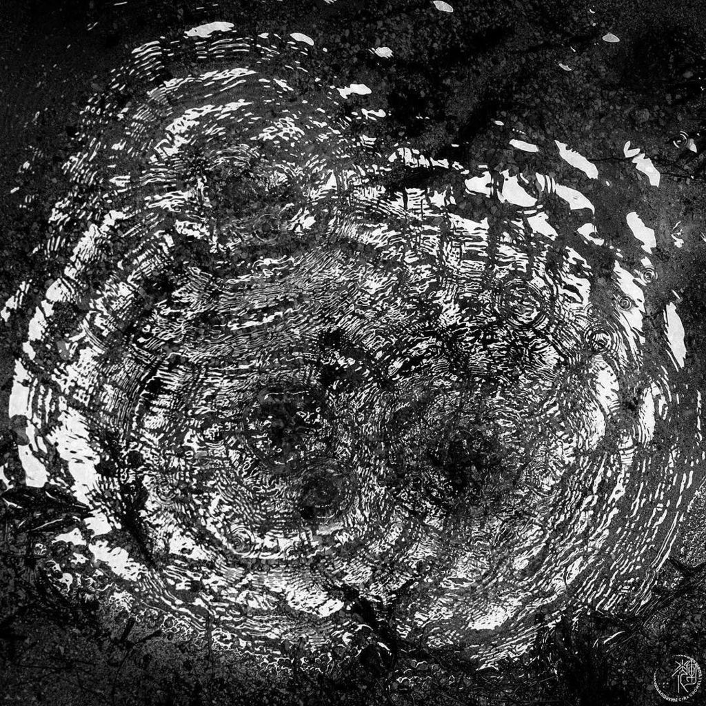 CiraInLight's tweet photo. Water ⠀
Patterns⠀
Garden.⠀
#BanruteiGarden #MtKoya #Japan #LeicaSL #blackandwhite #leicacrush https://t.co/cY93pARaYP https://t.co/wNpSOvnrXR