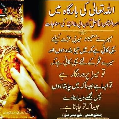 amber_xaidi's tweet photo. #MaulaAli A.S #ShereKhuda #AliIbneAbiTalib A.S #FataheKhyber #BrotherOfMuhammad SAWW #Youm_e_Ali A.S https://t.co/7LNs4ew67G