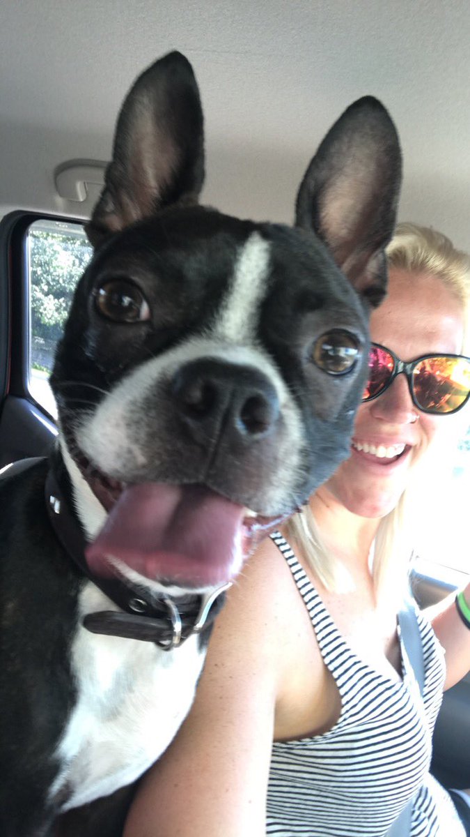 jocelyn_nicole1's tweet photo. @Pup_SIDA can Jax join?! You can even follow him on @instagram at @jaxthebouncingboston if you want to follow his adventures #shamelessplug https://t.co/miNJcl7F1U