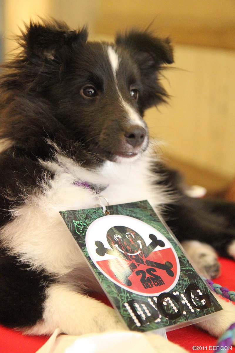 Neep McFarlane tweet media