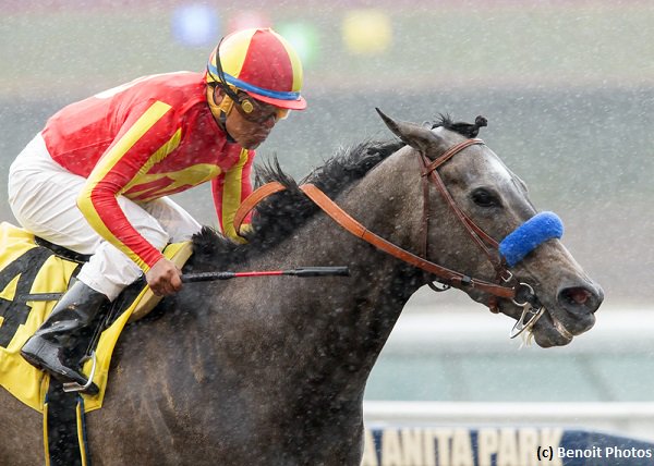 TwinSpires's tweet photo. MG2 winner #PrettyNCool faces four in Sunβs #DesertStormer (G3) going six furlongs @santaanitapark https://t.co/10N3H9ZOhV