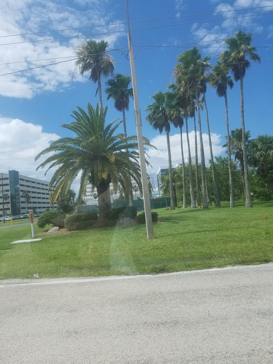BloodxWolf's tweet photo. Florida bound
#2017 #Florida #vacation https://t.co/iQ2sxr38k8