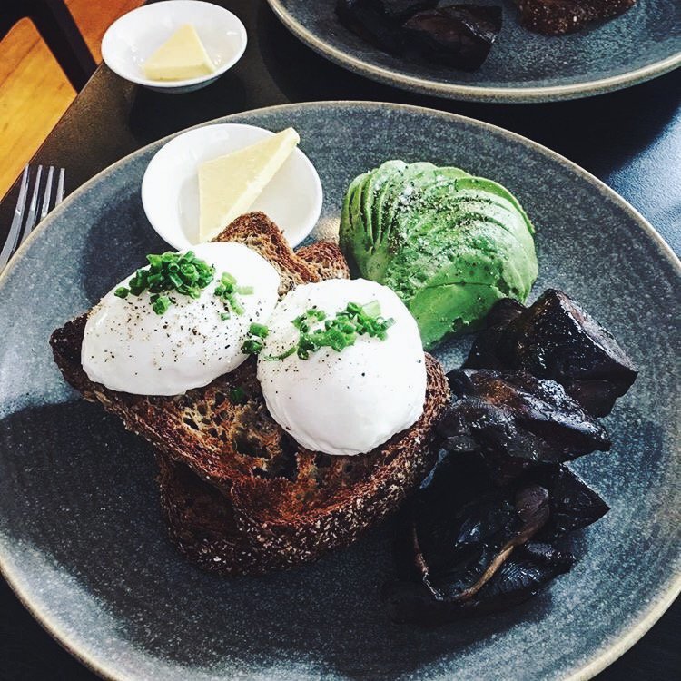 matworksnz's tweet photo. Eggs, mushies, avocado....looks like the ideal weekend brunch to us!! 🍳

📷- @feeling.foodie https://t.co/LxnH4YIDLR
