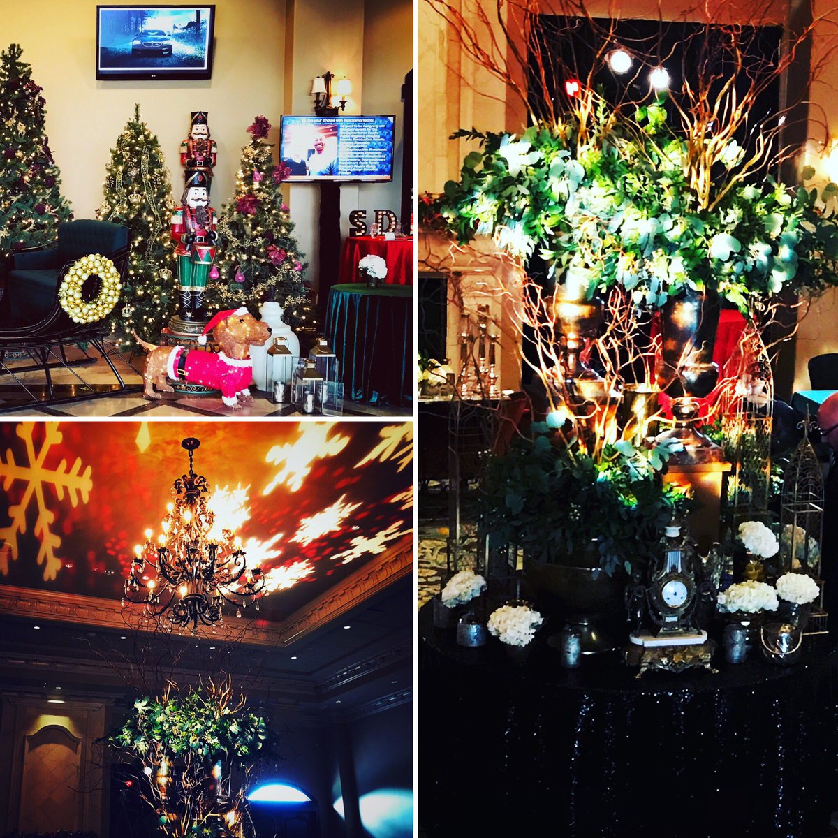 Christmas in June?! We're doing it - what does YOUR holiday party need? #holidayparty #holidays #christmasparty