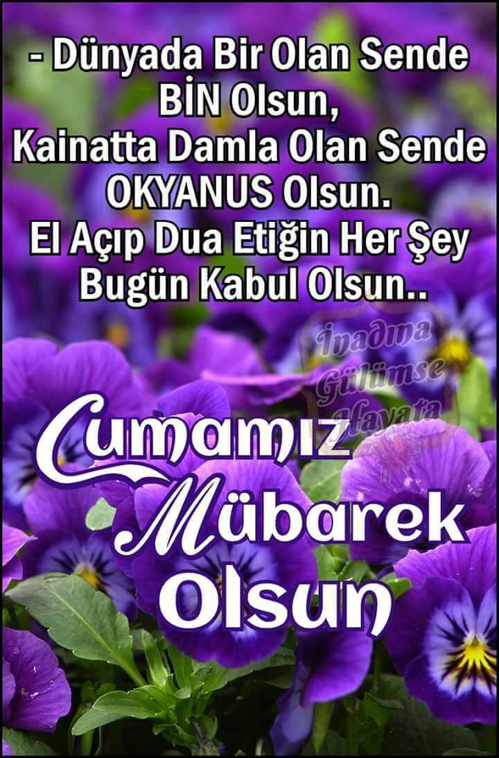 xhammaster's tweet photo. @NurullahMert7 https://t.co/SzrSdZNg3f