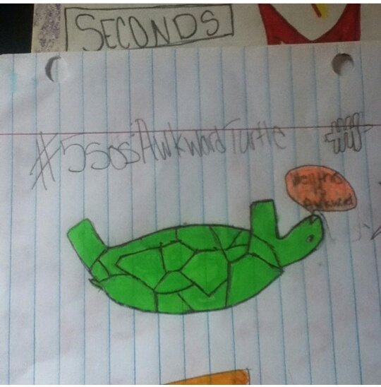 RetroWldflower's tweet photo. @5SOS YOU GUYS ๐ญ Do you remember this?? #5SOSAwkwardTurtle https://t.co/cyihxnCDiS