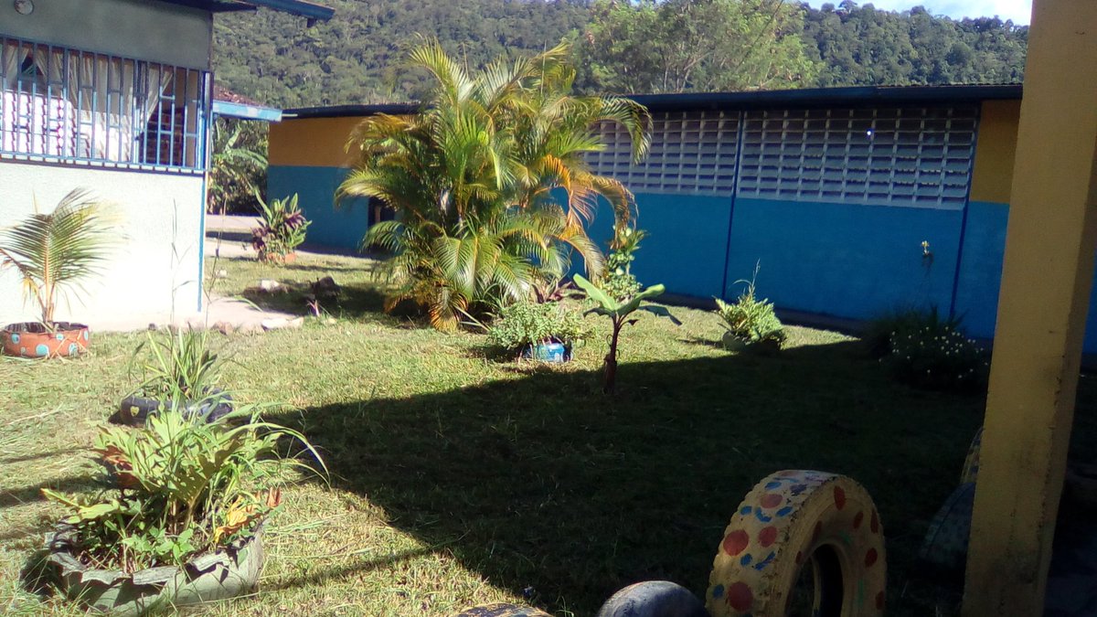 ner_359's tweet photo. Arreglo y limpieza de áreas verdes @ZonaEducTachira @MPPEDUCACION @joandues @charlychaves @MunicipioSC https://t.co/toRdBNd5iR