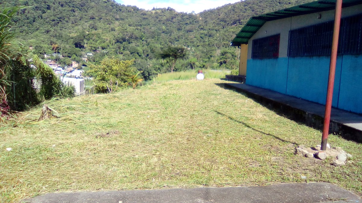 ner_359's tweet photo. Limpieza y arreglo de áreas verdes @ZonaEducTachira @clifpsc @MPPEDUCACION @joandues @charlychaves @MunicipioSC https://t.co/Bstn6reiaj