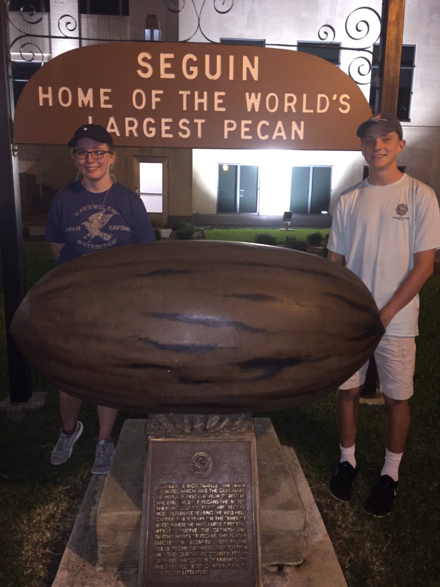 samrouse77's tweet photo. You may go to the beach this summer, but this is real tourism https://t.co/46XNxdCcea