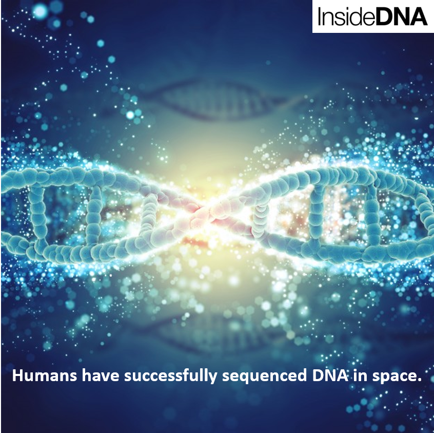 inside_dna's tweet photo. #Bioinformatics and #Genomics solution in an instant https://t.co/UTGcntVdti https://t.co/PXA2fv02bx