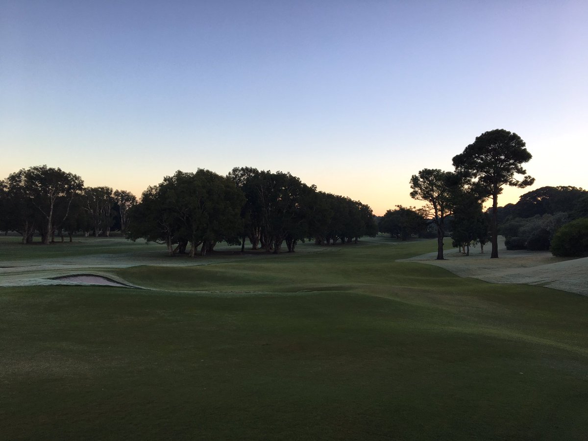 FaingaaMone's tweet photo. First cut in 2 weeks https://t.co/3nb9e7z0jX