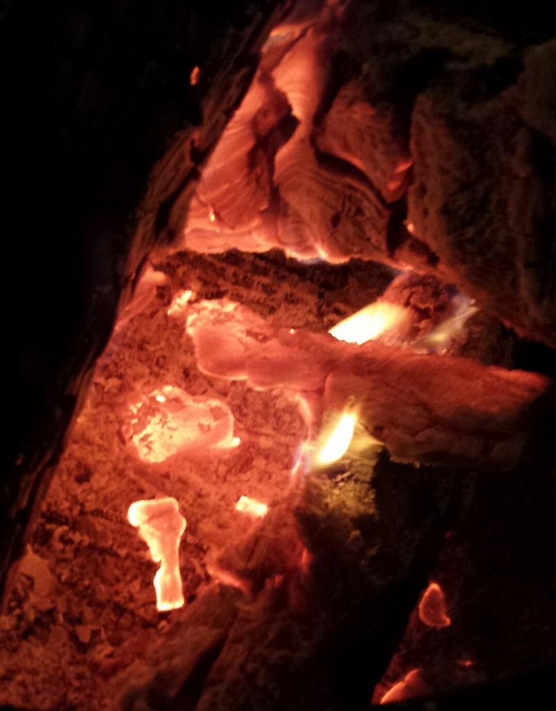 NilsBalls's tweet photo. Sitting by a fire at an ice sculptor's house, waiting for #DetroitComixParty https://t.co/I2cv2dDaWZ