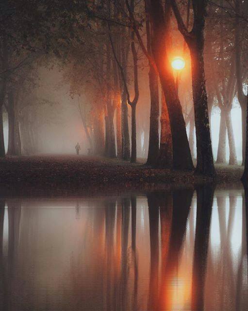 stevekrohn's tweet image. The dawn of a new day ....by Sam Fiore
via Michele Smorgon