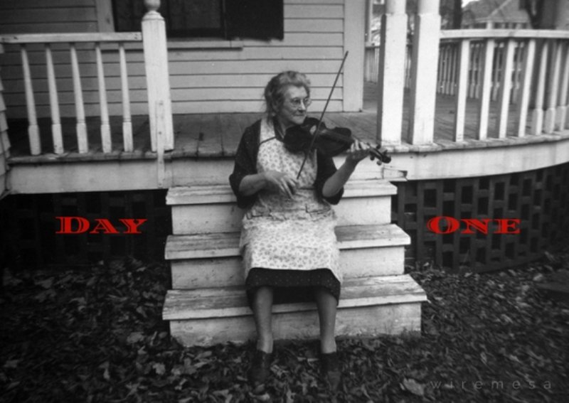 WiremesaDesign's tweet image. 