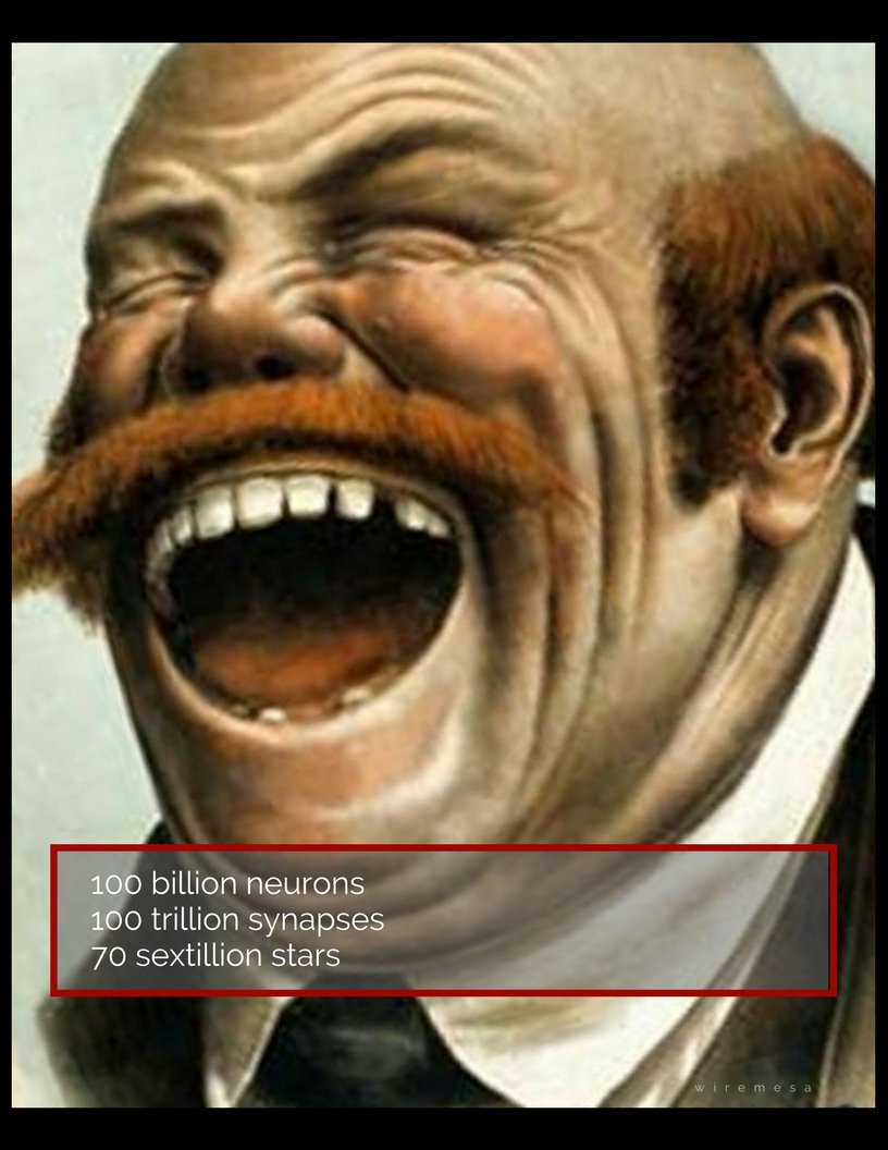 WiremesaDesign's tweet image. 