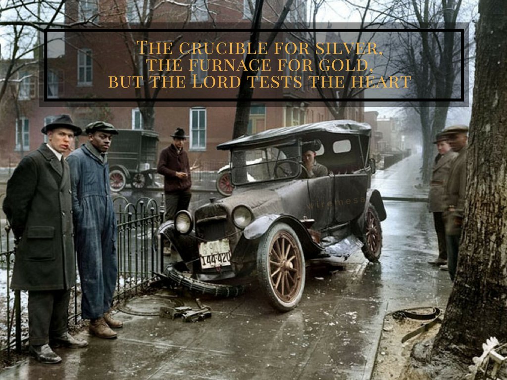 WiremesaDesign's tweet image. 