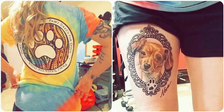 CyndiSlim's tweet photo. I wore my @Pawz shirt to my tattoo appointment today! Finished the portrait of my dog on my thigh! https://t.co/mt5QZjpJzk