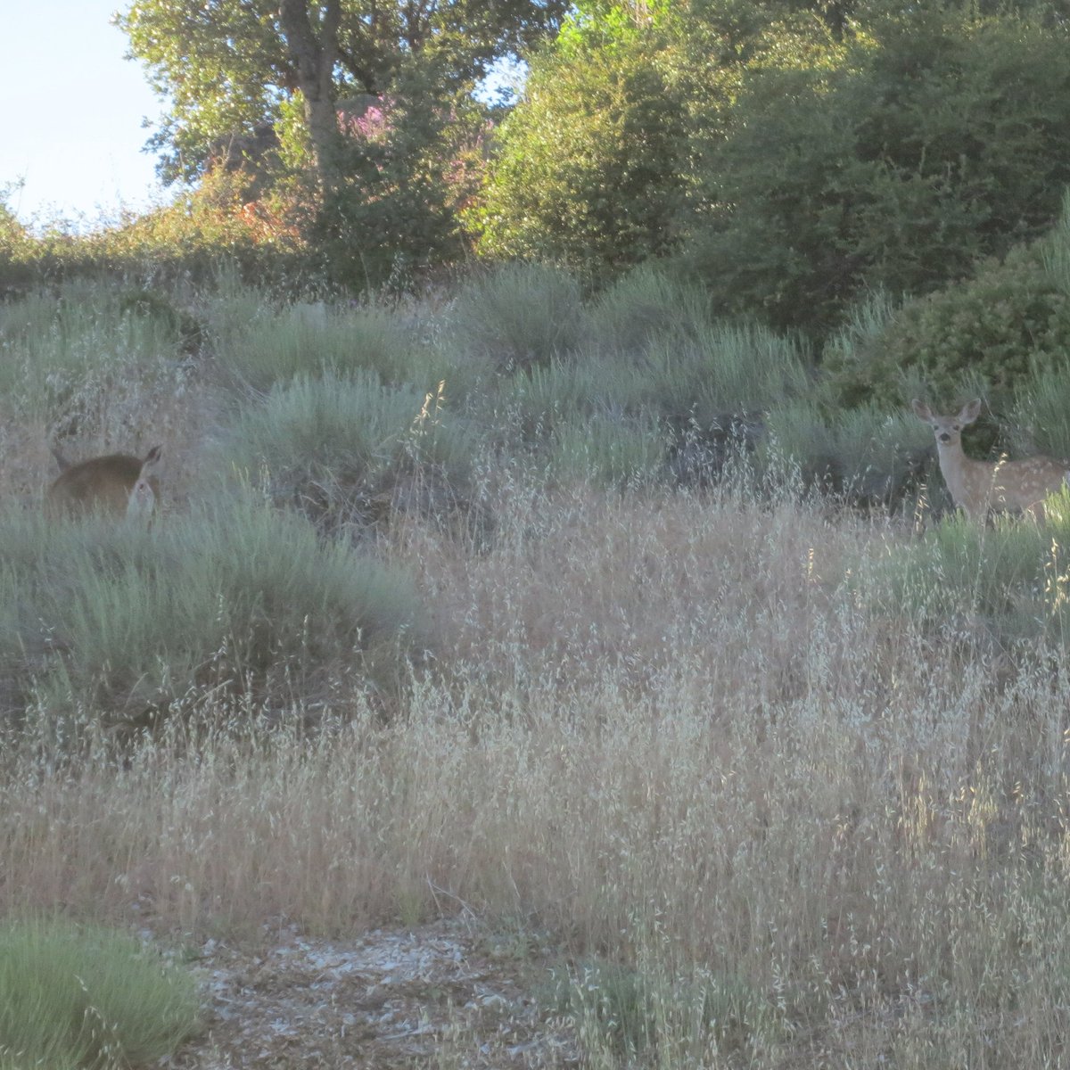 Can you see both of them?