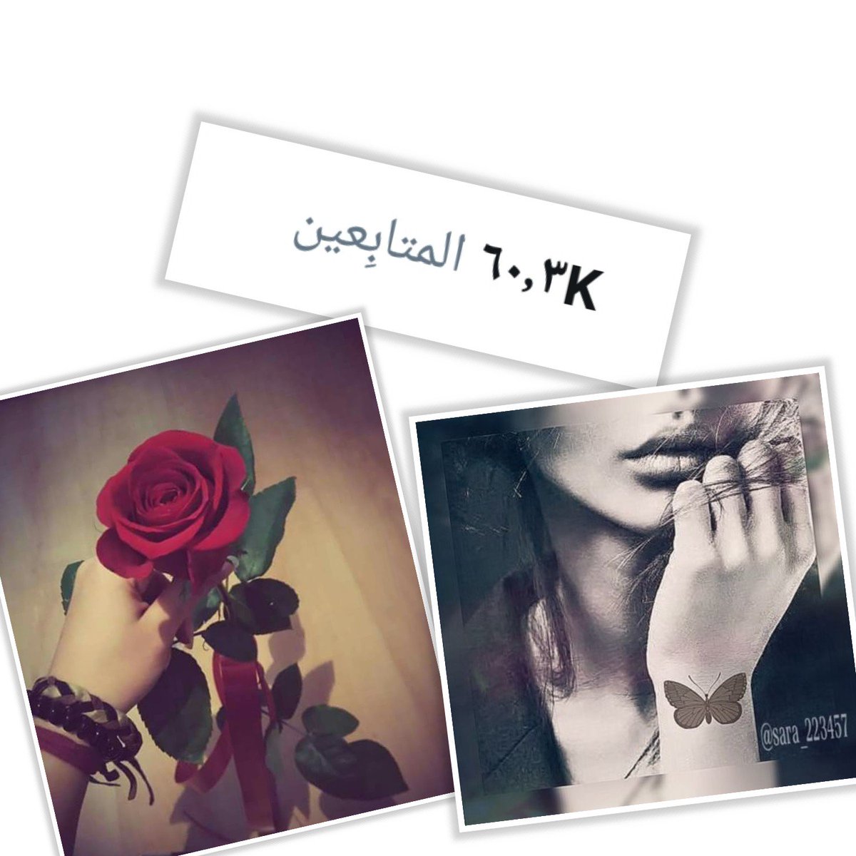 _1smh's tweet photo. سعادتي ... هِي رؤية #متابعيني_بخير  . .فَياربَ اجعلهم سّعداء اينما كانوا .. ♡
#سـہـاااااڕۿ https://t.co/MQXz6OkpMW