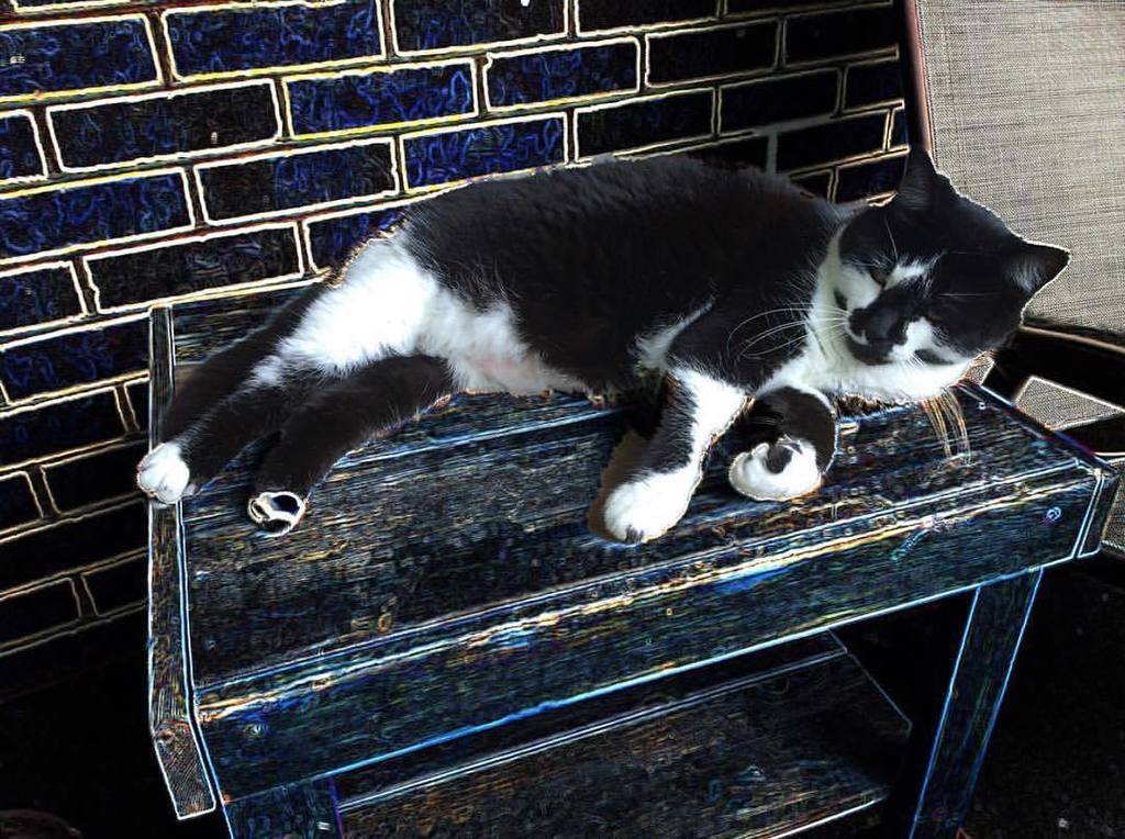Check out this awesome photo! The artist: <a href="/meister/">۟</a>.burger ! #bitpoem 😻👏👏👏👏👏👏 ift.tt/2rATarm