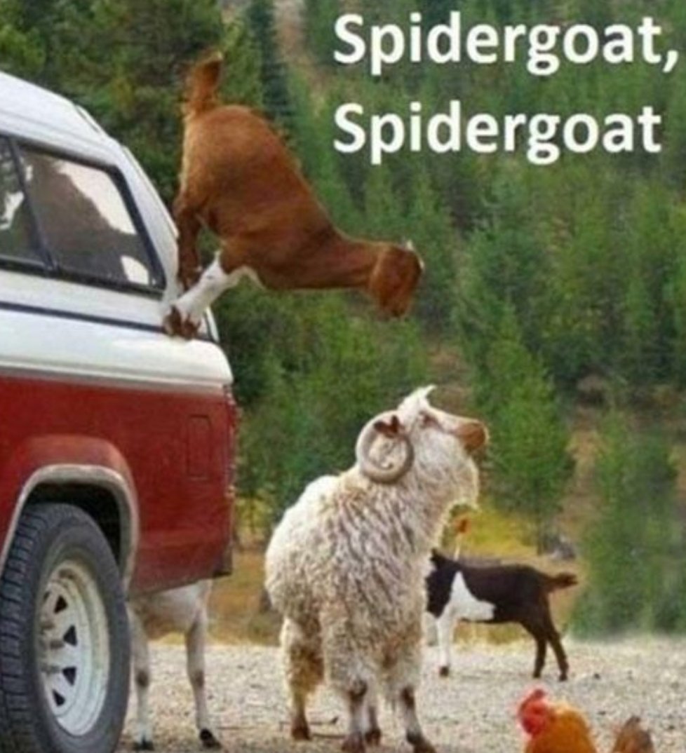 <a href="/Getupgoats/">Yard Goats Baseball</a> the <a href="/WellwoodBall/">Wellwood Softball</a> have discussed roid testing the goats will piss everywhere for ya! #crushingcopenhagencowboys