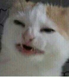 memestranho's tweet photo. quando o traficante fala que o doce é double face https://t.co/NoXZqP4oes
