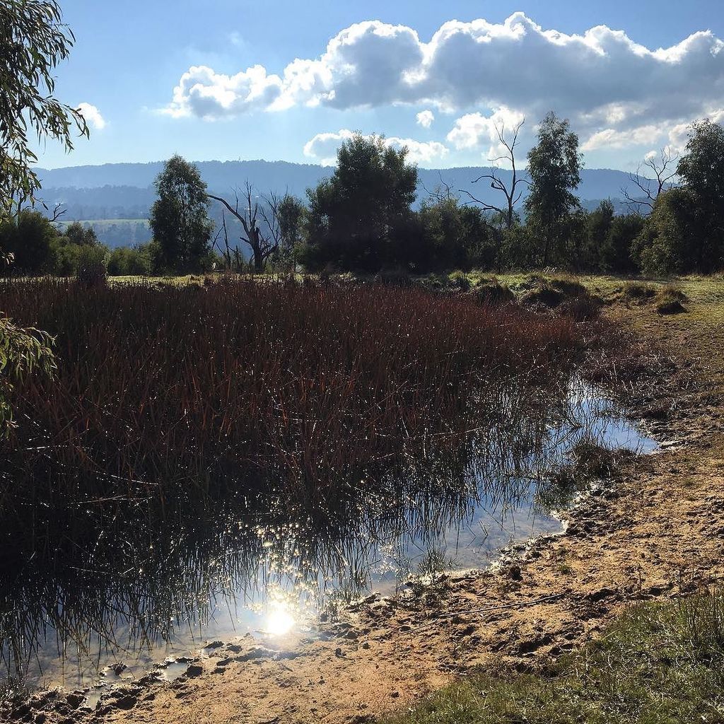 sparky_moira's tweet photo. Days like these.. #winter #solstice #trailrunning #runtrails #run2explore #getoutside #wymtm #Lysterfield https://t.co/imGYmaJ9YY https://t.co/3FslDQutgX